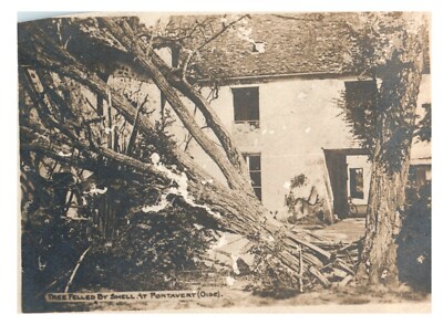 Tree Felled By Shell At Pontavert (Oise) 3.1'' x 2.25'' French France 