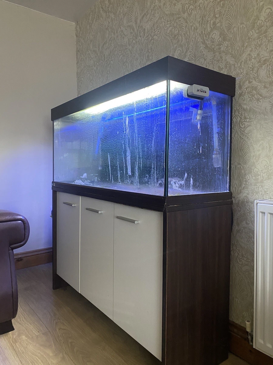 4ft aquarium hotsell