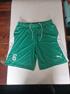 Puma Mens Liga Shrts Core Football Shorts Nr 18 Green Medium