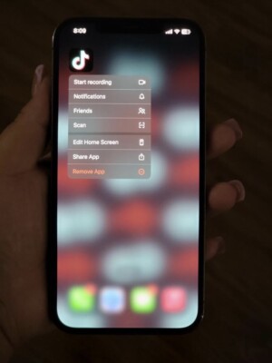 Apple iPhone 12 Pro Max with TIKTOK APP INSTALLED (Unlocked)