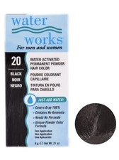 Water Works Permanent Powder Hair Color 20 Black 2 Pack 