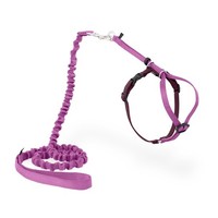 Katzen-Geschirr Mit Leine Petsafe Come With Me Kitty GrößE M Dusty Rose Bungee