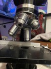Ernst Leitz Wetzlar Binocular Compound Upright Microscope 40x 10x 6x Objectives — photo 6