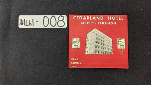 Choose Your Vintage Hotel Luggage Labels, Stickers, and Decals! Flat Shipping! - Picture 23 of 290