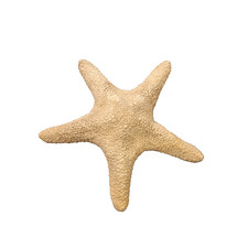 Vintage Natural Dried Starfish 5-Arm Sea Star Beach House Nautical Decor