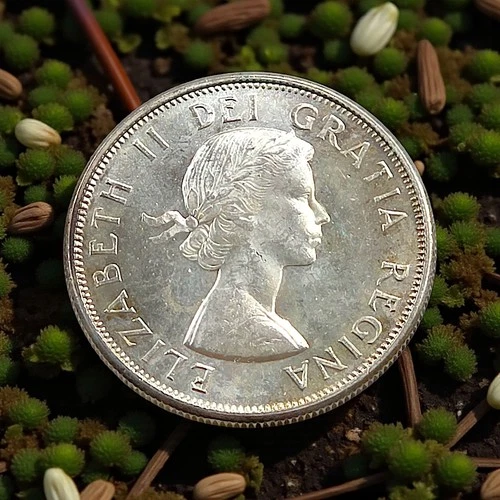 1964 Canada 50 Cents • 80% Silver • AU/UNC • Queen Elizabeth II Laureate Unit K