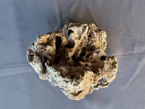 CaribSea South Sea Base Rock for Aquariums, 2.2 lbs