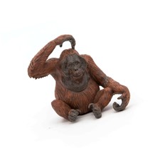 papo orangutan