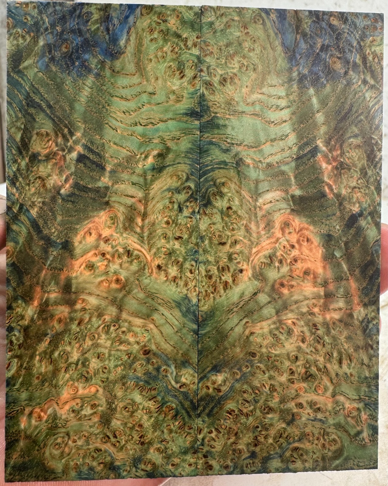 Picture 1