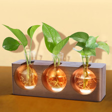 Plant Propagation Station with Wooden Stand, Plant Terrarium with 4 Mode 9-Level