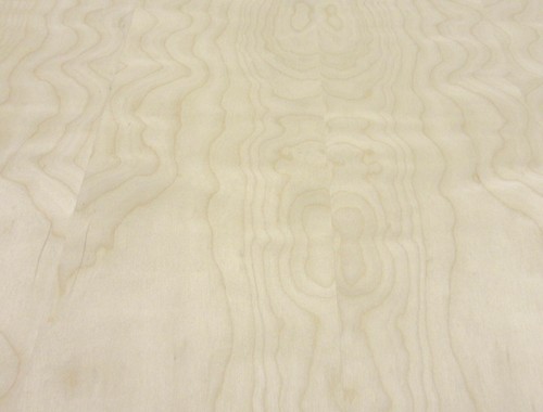 Impiallacciatura in legno bianco betulla 24" x 48" con supporto in legno spessore 2' x 4' x 1/25" grado A - Foto 3 di 12