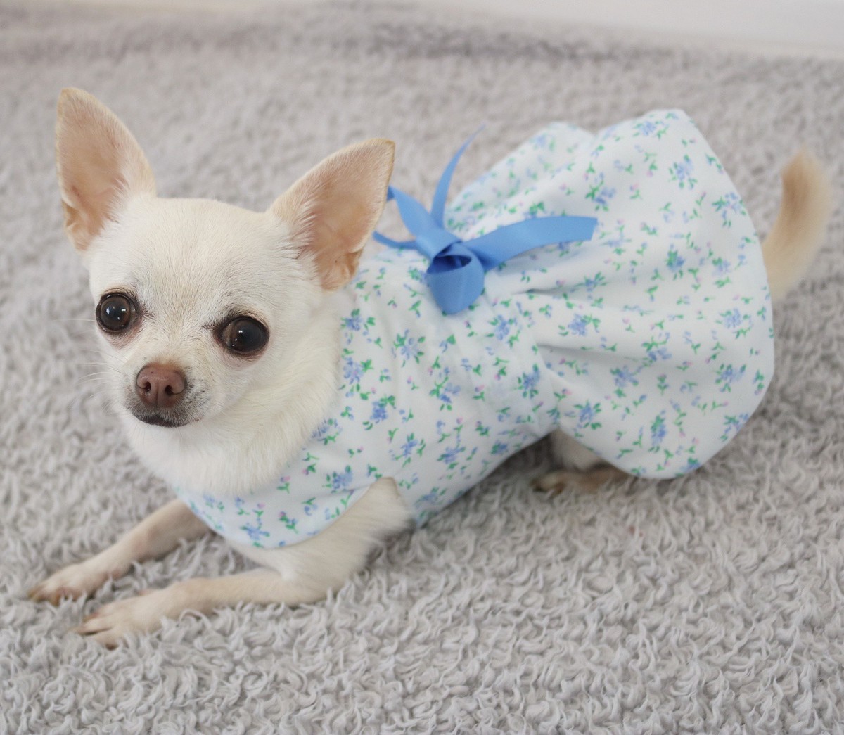 Handmade Dog Dress For Small Dogs Clothing Blue Floral Puppy