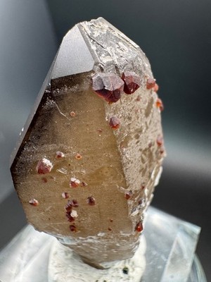 6928 Smoky Quartz Point with Red Garnets and Garnet Inclusions 23g Fu Jian