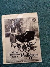 El22 Ephemera 1951 advert all the best babies have a pedigree pram 