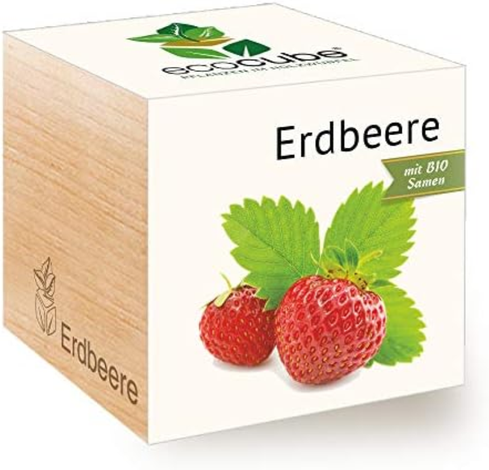 Feel Green Ecocube - Semi di Fragola biologici, Idea Regalo sostenibile (100% Ec