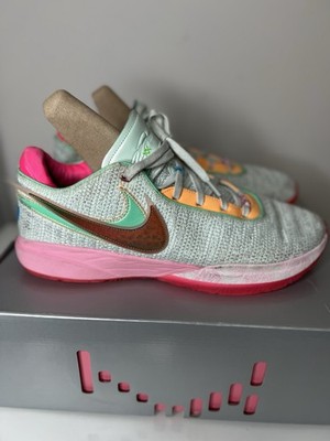 Nike LeBron 20 XX EP 'Time Machine'DJ5422-300 Men's Size 15 | eBay