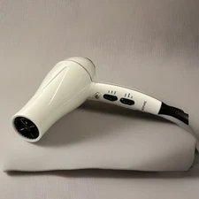 Professional 1875W Ionic Salon Hair Dryer Ionic Blow Dryer with Diffuser and ...