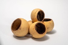 10 Bell Cup Dried Botanical Seed Pods Dart Frog, Aquarium Botanicals, Betta Fish