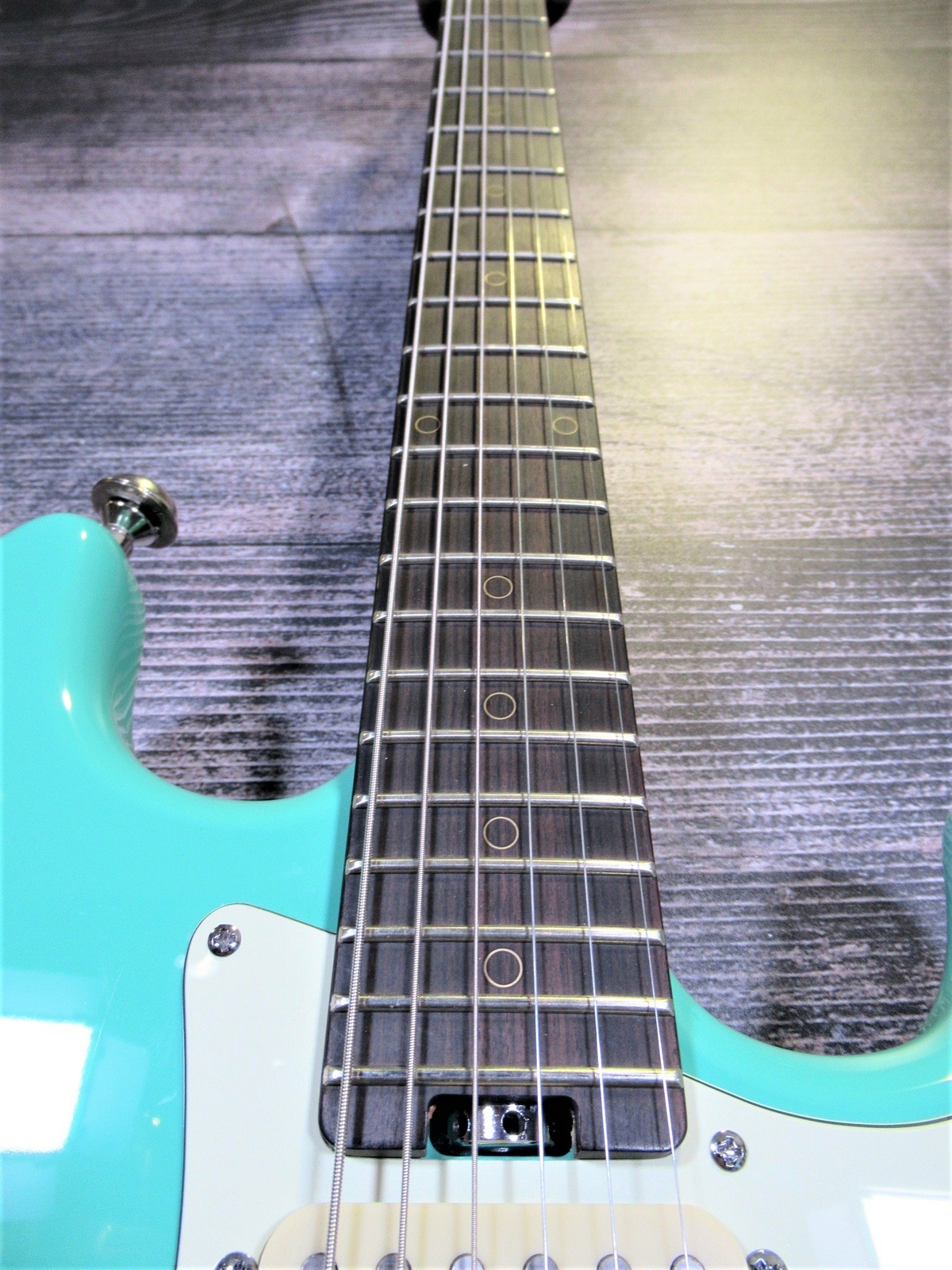 schecter diamond series case