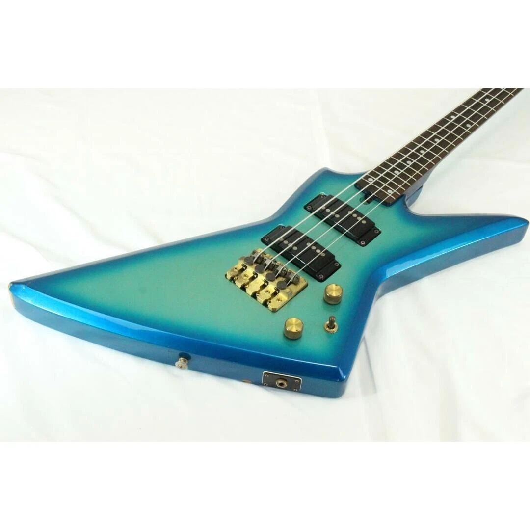 Custom bass case new arrivals