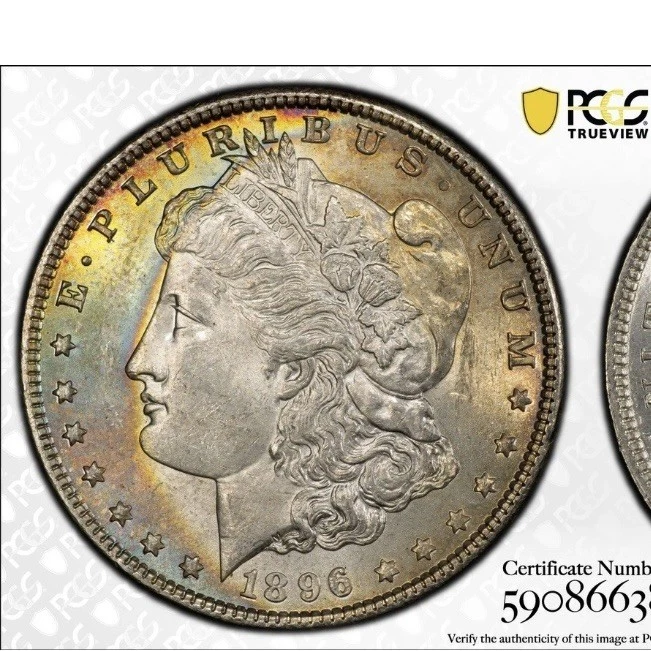MS 62 Graded 1896 Year Morgan US Dollars (1878-1921) for sale | eBay