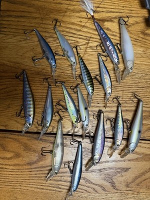 Lucky Craft pointers lot ,DD and staysee