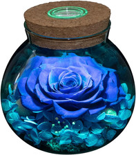 Preserved Real Roses with Colorful Mood Light Wishing Bottle, Eternal Rose  Never