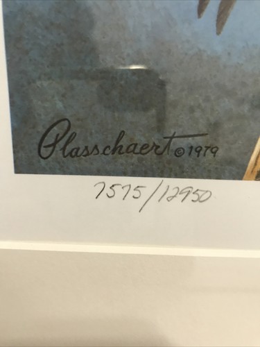 RICHARD W. PLASSCHAERT 1979 IMPRESIÓN DE AVES FIRMADA Y NUMERADA #7575/12950 (10-PRT-9) - Imagen 3 de 9