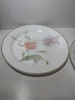 Corelle by Corning Pacifica Dinner Plates 10-1/8" Floral Vintage Set of 2 USA