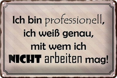 Blechschild Spruch 30x20 cm ich bin professionell ich weiß Deko Schild tin sign