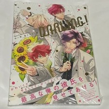 Meguru Hinohara Illustration Collection Art Book DARLING! Sinshokan Japanese