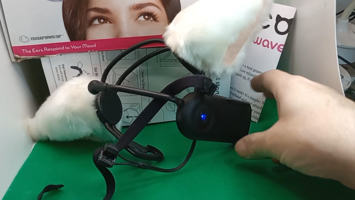 新型 NeuroSky nekomimi ２　ほぼ新品 ネコミミ necomimi | Dentsu Lab Tokyo