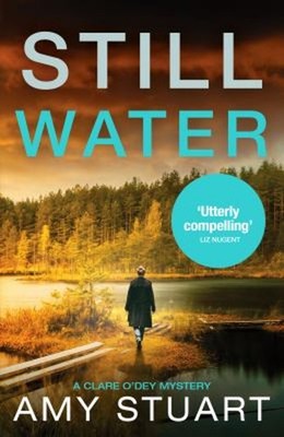 Still Water : An Absolutely Gripping Private Investigator Crime N