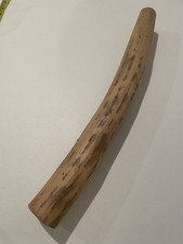 Rain Stick Curved 19 Authentic from Chile- Excellent Condition