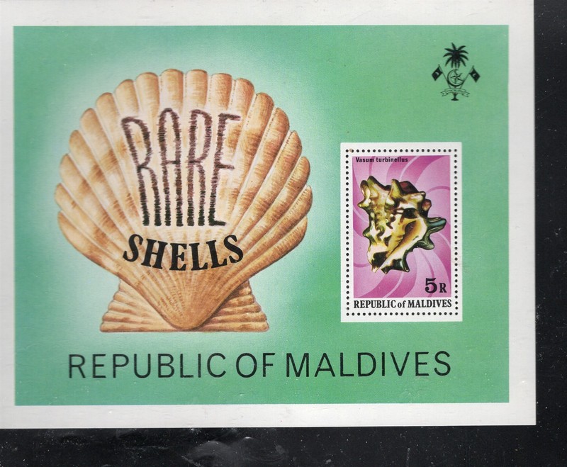MALDIVES #793 1979 RARE SHELLS MINT VF NH O.G S/S 