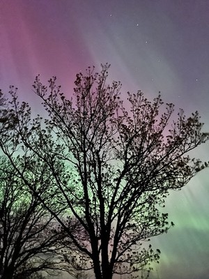 Northern Lights Aurora Borealis Norway Night Sky Photo Reprint Wall Art