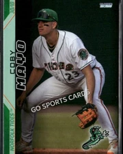 2025 Norfolk Tides Coby Mayo RC Rookie Orioles Minor League