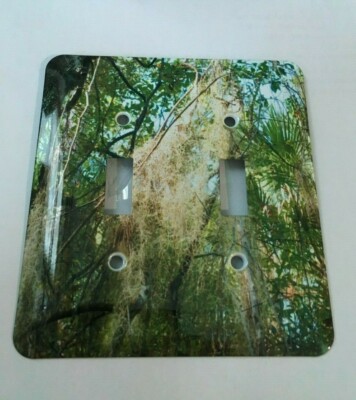 3dRose Isp_196150_ 2'' Hanging Spanish Moss Live Oak Leaves Sky Florida S4.7
