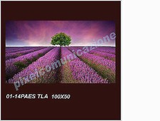 QUADRO MODERNO TELA 100X50 ARREDO LAVANDA FIORI PROVENZA PAESAGGIO
