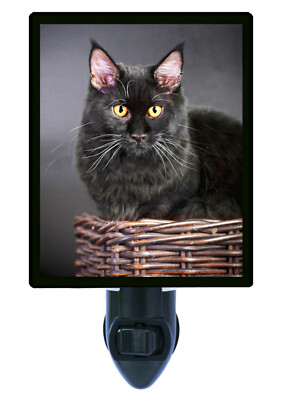 Cat Decorative Photo Night Light, Black Maine Coon Cat