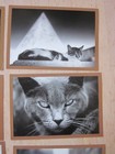 Bild 4 von 8