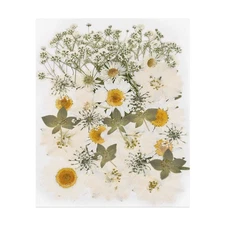 36 Pcs Dried Pressed Flower Leaves Bulk for Resin, Beige