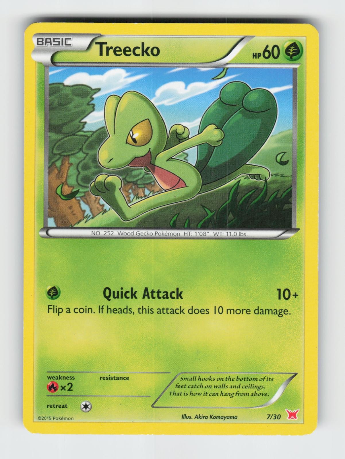 Treecko 7/30 XY Trainer Kit Latias Latios Pokemon 2015 LP