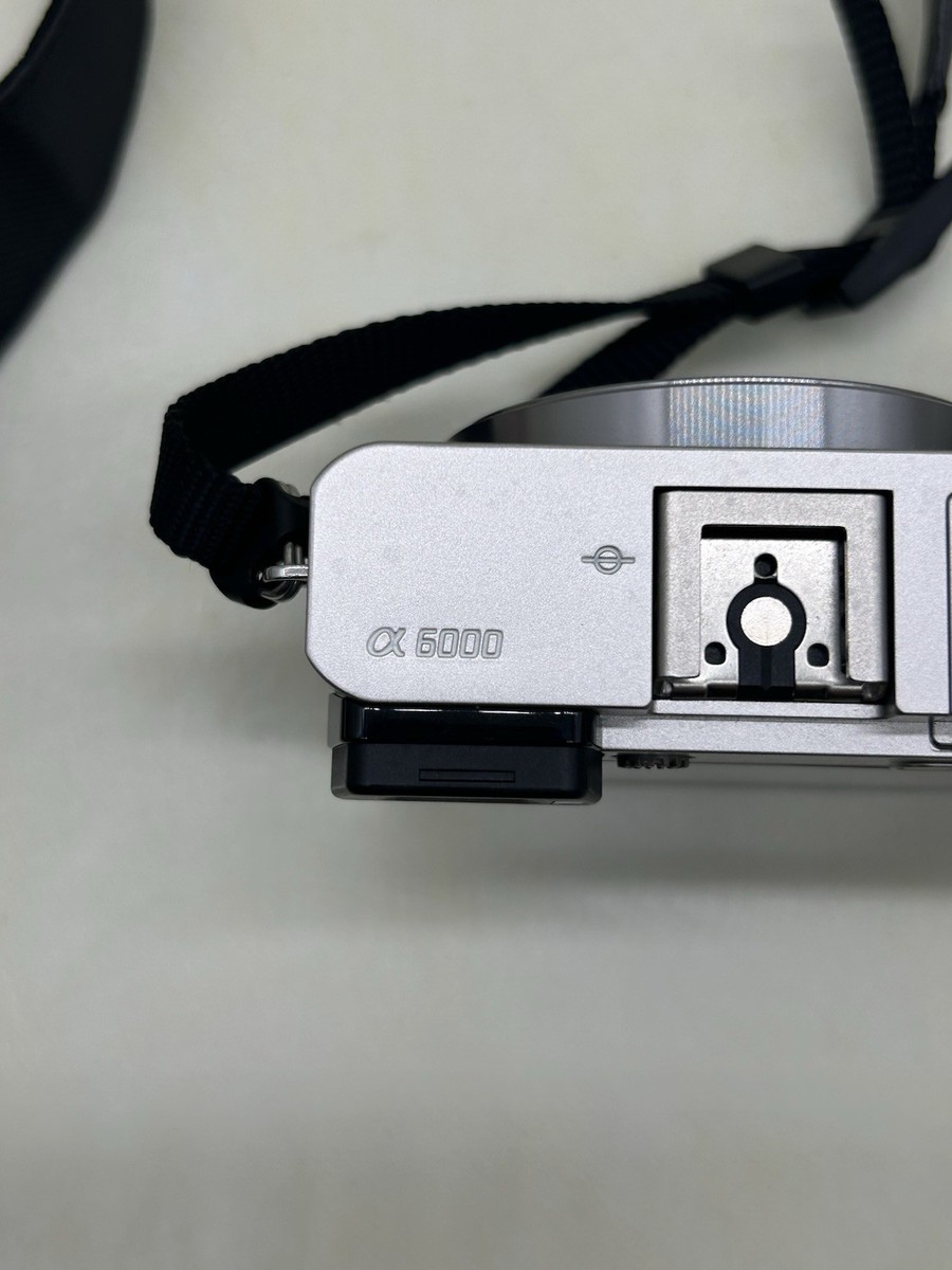 Sony Alpha A6000 ILCE-6000 Digital Camera silver #166
