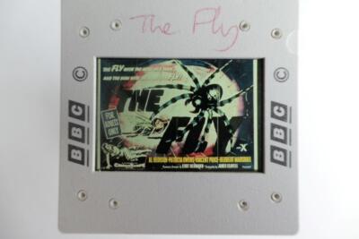The Fly 35mm Cellulose Dia Clear Focus keine Reflexion
