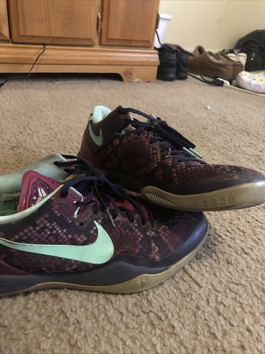 kobe 8s