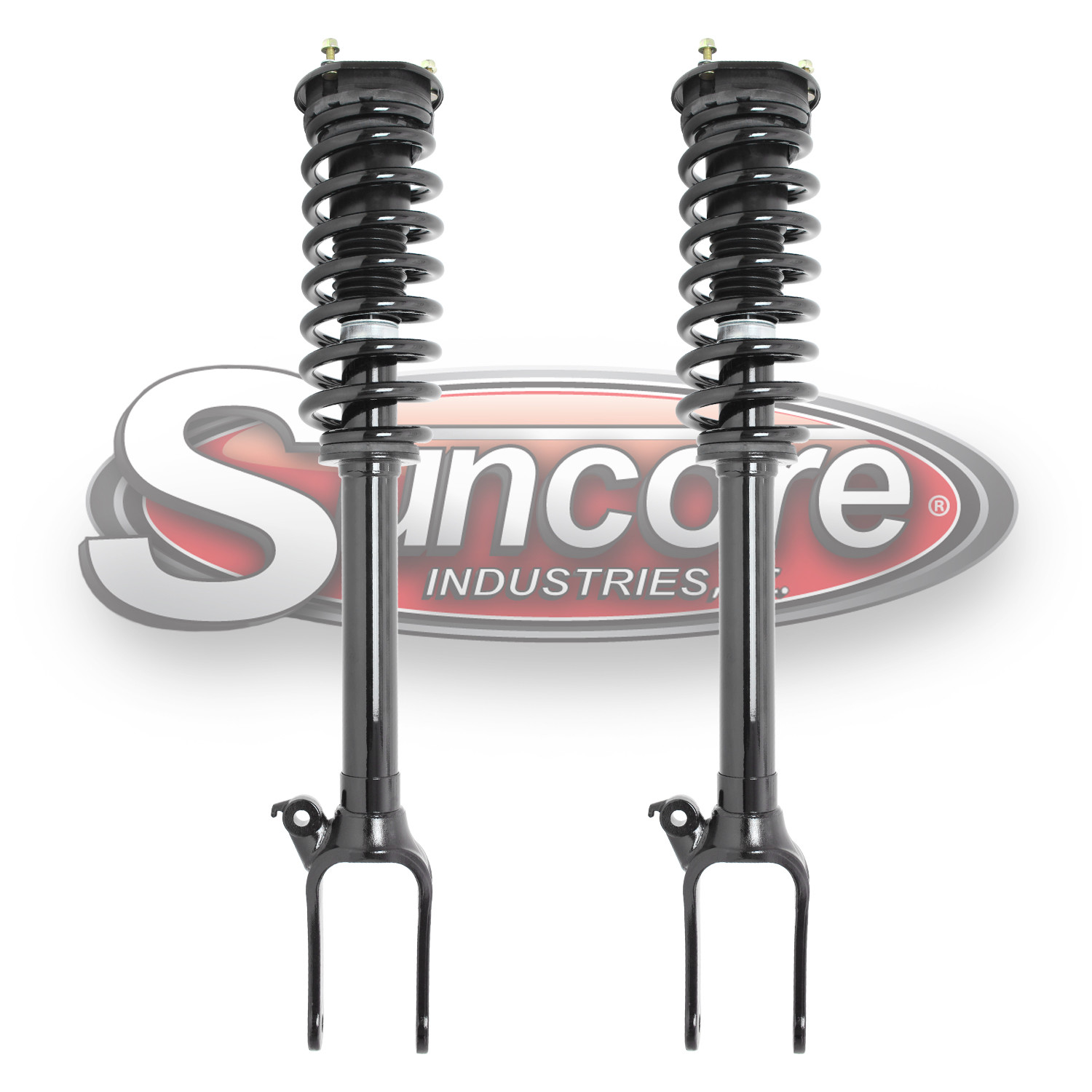 2010-2011 Mercedes ML450 Front Air Suspension to Complete Strut Conversion Kit