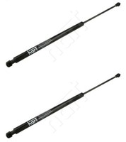 2 X Gasfedern FüR Renault Laguna II