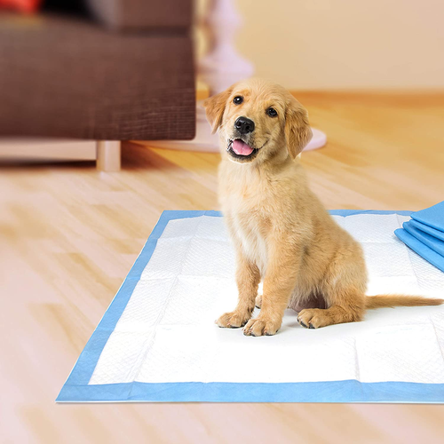 Pet Select Pee Pee Pads for Dogs and Puppies 100 Count Standard: 22" X 22" - Picture 5 of 7