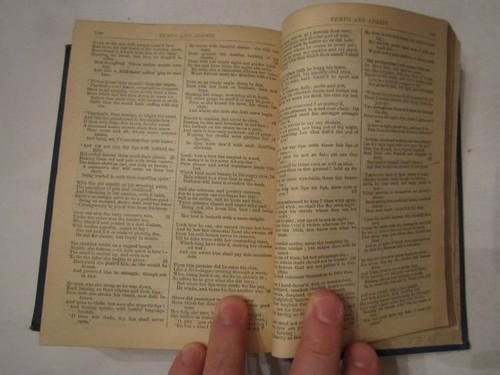 1887 SHAKESPEARE'S WORKS BOOK - EDITED BY W. G. CLARK & W. ALDIS WRIGHT - Picture 10 of 11